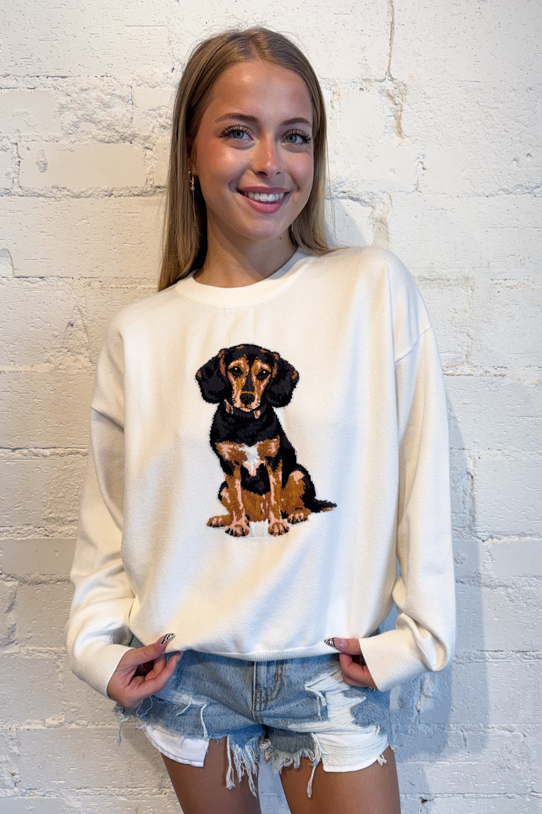 Beagle Long Sleeve Crew Neck Sweater, adeline boutique, dallas boutique, boutique