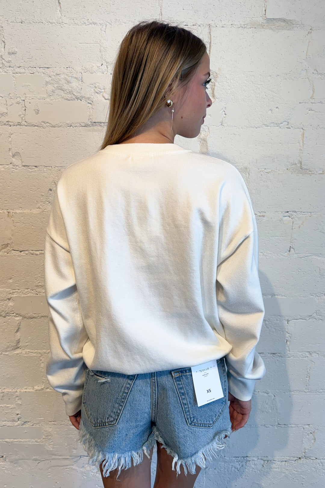 Beagle Long Sleeve Crew Neck Sweater Back, adeline boutique, dallas boutique, boutique